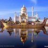Shahinaz-Eid Shahinaz-Eid